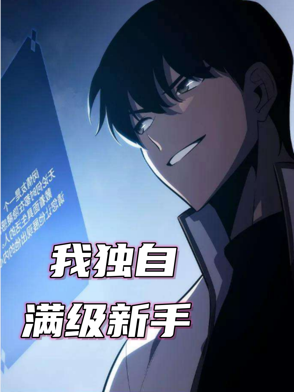 我独自满级新手