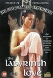 色婷婷综合在线激情