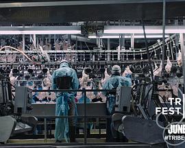 黄色免费视视频