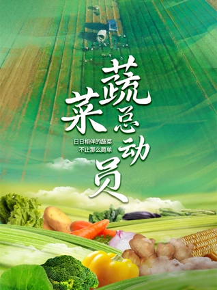 我爱上的人是奇葩第二季