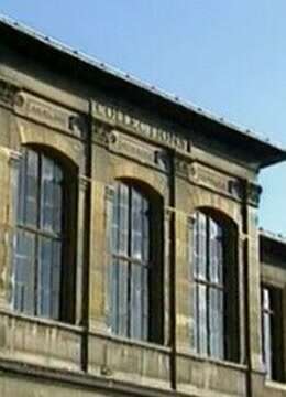 中文在线字幕无线观看